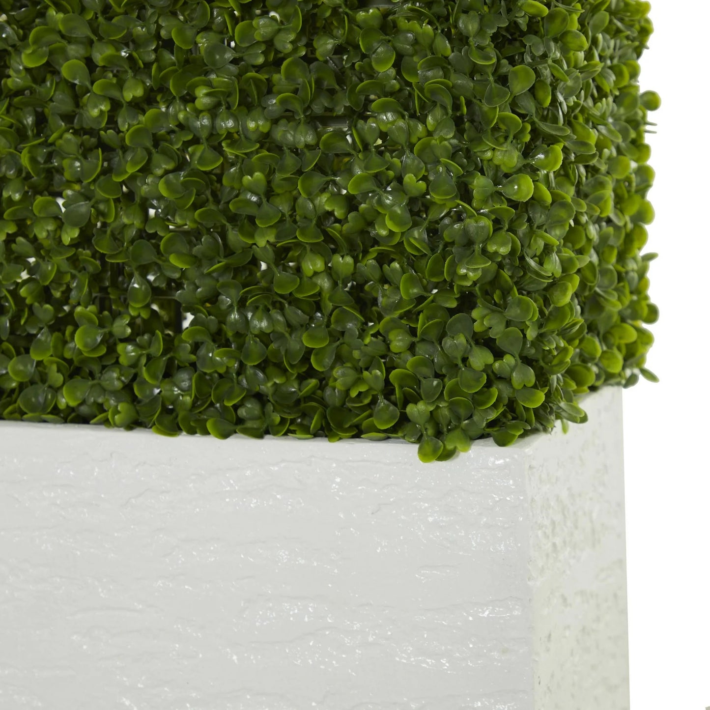 DecMode 59" Tall Boxwood Hedge Artificial Topiary in Realistic Leaves and White Fiberglass Planter Box