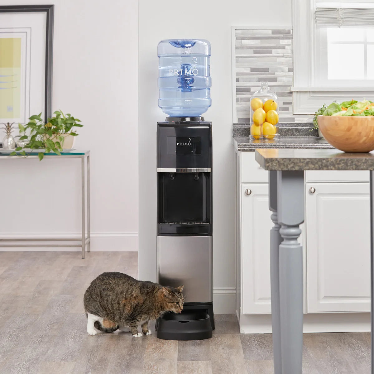 Primo Hot & Cold Top-loading Water Cooler and Pet Station