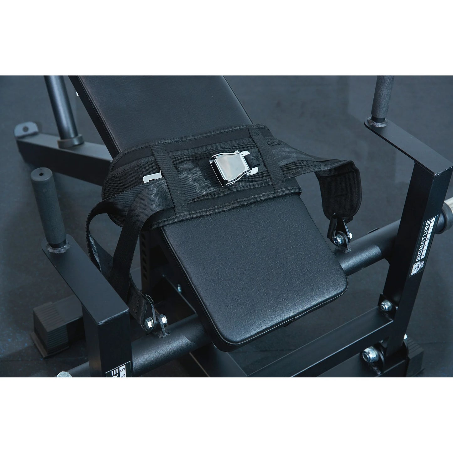 Signature Fitness Glute Bridge Plate-Loaded Hip Thrust Machine, Black, Heavy-Duty Steel Frame