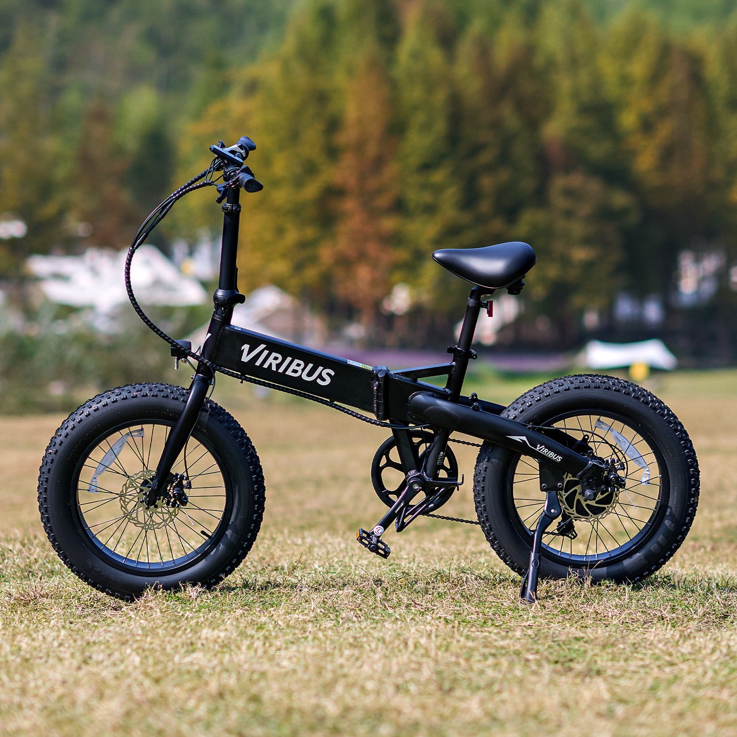 VIRIBUS 20" Fat Tire Electric Bike for Adults Folding Mountain eBike w 48V Battery Black