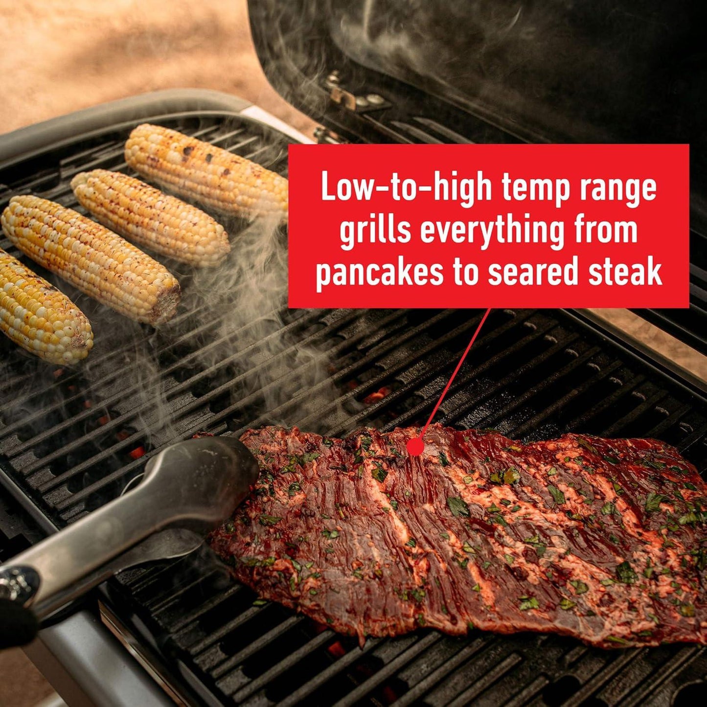 Weber Traveler Compact Portable Gas Grill
