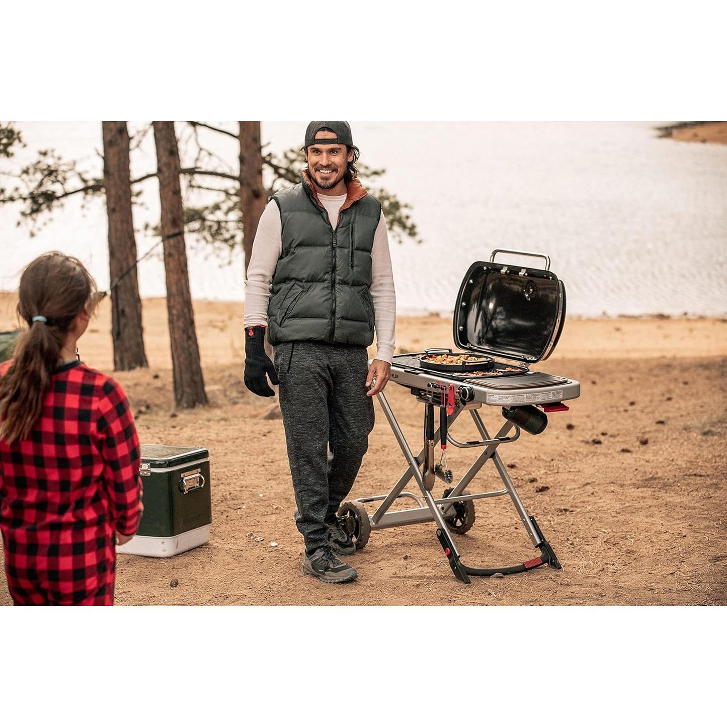 Weber Traveler Compact Portable Gas Grill